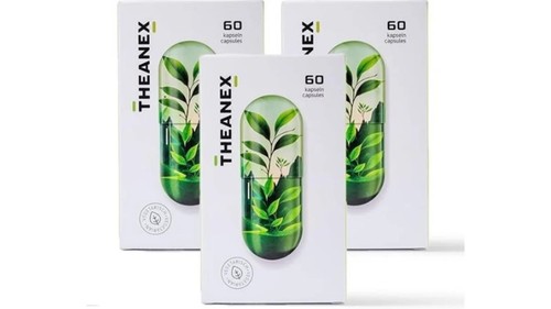 Setx3 theanex - setx3,
