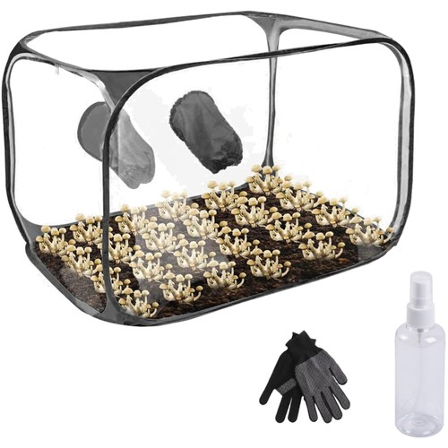 Pilzzuchtzelt growbox - pilzzuchtzelt,